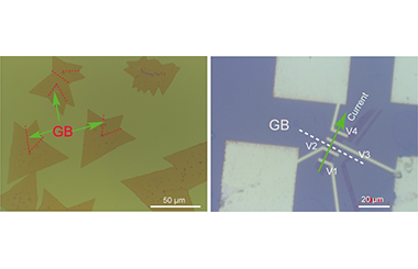 Grain Boundary Effects on the Mobility of Chemical Vapor Deposition Synthesized Monolayer MoS2-FETs 2011-2934